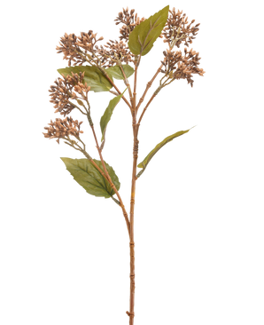 La Fleur Artificielle Sedum 67 cm marron possède une seule tige de plante artificielle brune et verte avec des grappes de petits bourgeons bruns et plusieurs feuilles vertes, isolées sur un fond blanc.