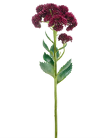 Une seule fleur artificielle Sedum de 57 cm violette a une longue tige verte avec des bouquets de petites fleurs violet foncé et des feuilles vertes, isolées sur un fond blanc.