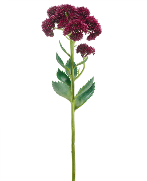 Une seule fleur artificielle Sedum de 57 cm violette a une longue tige verte avec des bouquets de petites fleurs violet foncé et des feuilles vertes, isolées sur un fond blanc.