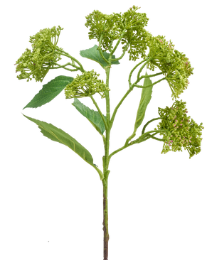 Une fleur d'hortensia artificielle de 56 cm vert/rouge avec une tige verte avec des grappes de bourgeons verts compacts et des feuilles allongées, représentée sur un fond blanc.