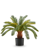 La Plante Artificielle Cycas UV 60 cm possède de longues feuilles vertes courbées et une tige épaisse et brune avec texture dans un pot noir, sur fond blanc.