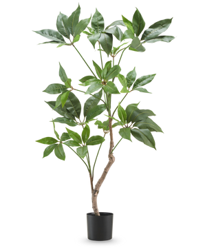 La Plante Artificielle Schefflera 90 cm est une grande plante artificielle avec de larges feuilles vertes et une fine tige brune, présentée dans un simple pot noir sur un fond blanc uni.