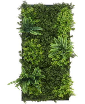 Cadre vegetal artificiel 50x100 cm Cadre noir UV