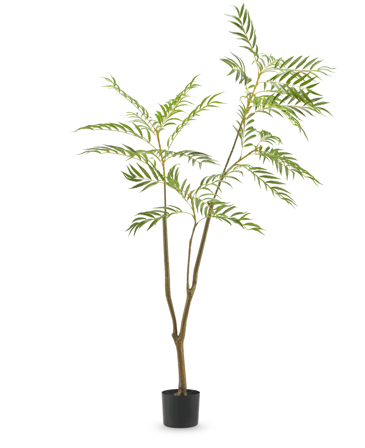 La plante artificielle Mahonia 150 cm est un grand arbre artificiel en pot avec des troncs bruns minces et des feuilles vertes longues et étroites, représenté sur un fond blanc uni.