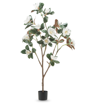 La plante artificielle avec fleur Yulania de 150 cm est un grand magnolia artificiel avec de multiples branches, des feuilles vertes luxuriantes et des fleurs blanches dans un petit pot noir, sur un fond blanc uni.