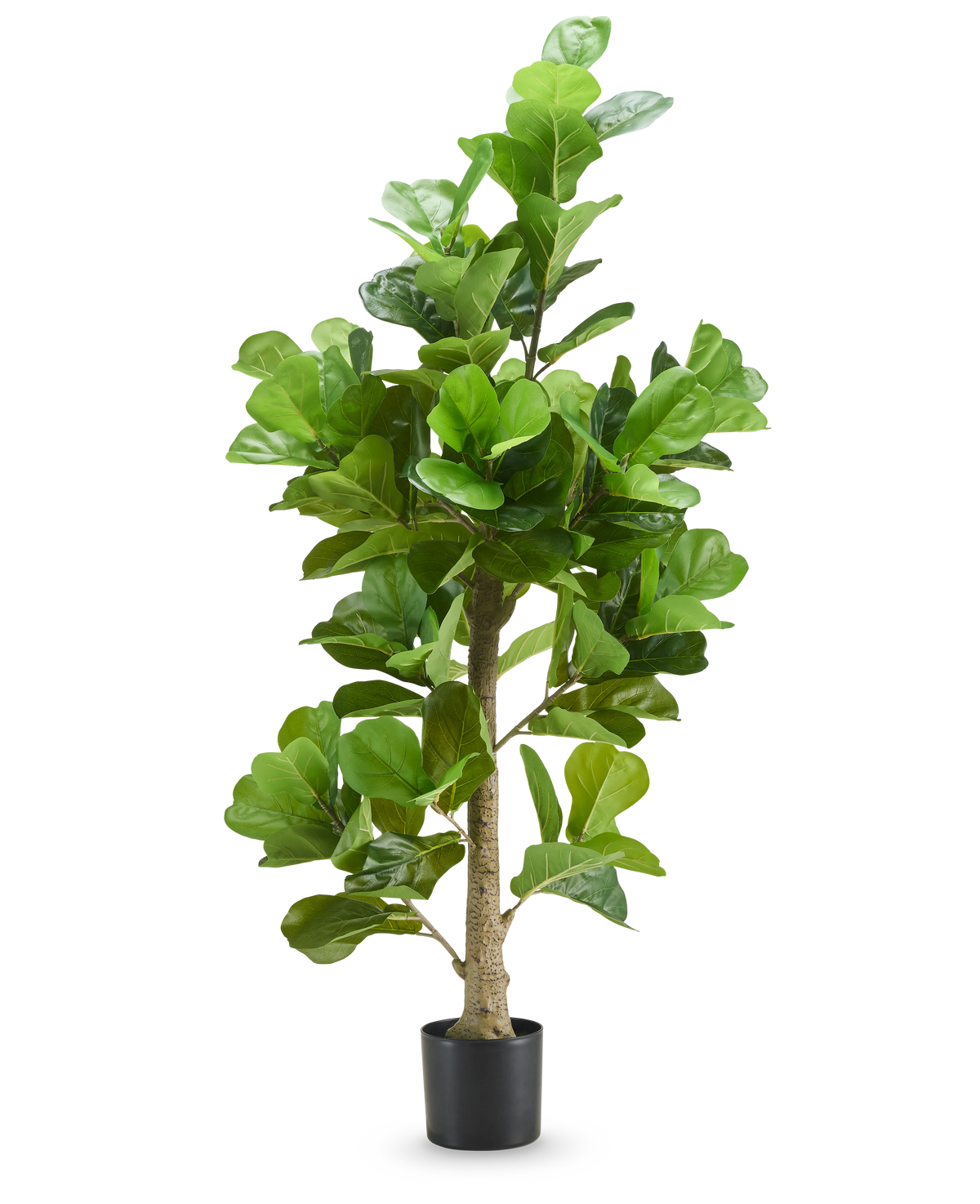 Le plant de tabac artificiel de 180 cm possède des feuilles vertes larges et hautes et est présenté dans un pot noir sur un fond blanc uni.