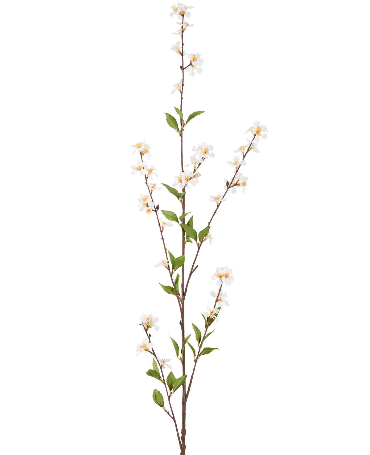 La fleur artificielle Flowers 119 cm crème a une seule branche haute avec des fleurs de couleur crème et des feuilles vertes le long des fines tiges brunes, sur un fond blanc uni.