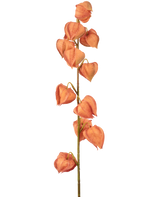 La plante lanterne à fleurs artificielles de 79 cm orange a une seule tige avec de multiples coques orange en forme de lanterne, disposées verticalement et ressemblant à du physalis séché, sur un fond blanc uni.
