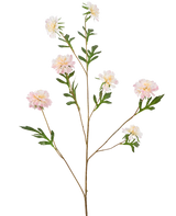 La Fleur Artificielle Bleuet 112 cm rose clair a une tige longue et fine avec plusieurs branches, chacune avec des fleurs rose clair ressemblant à des pivoines et des feuilles vertes, sur un fond blanc uni.