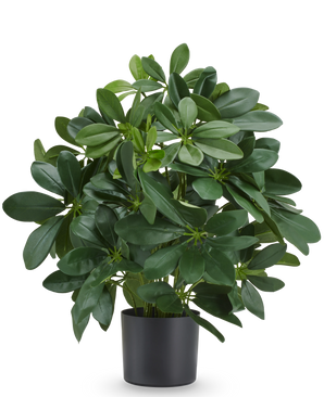 Plante artificielle Baby Schefflera 45 cm, ignifuge, avec des feuilles vertes brillantes dans un pot noir.