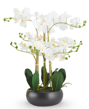 Orchidée artificielle Real Touch 50 cm blanche en pot noir : une orchidée artificielle Real Touch blanche avec des feuilles vertes dans un pot rond noir.