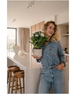Une femme souriante vêtue d'une combinaison en jean se tient dans une cuisine moderne, avec la plante artificielle artificielle blanche Gardenia UV 39 cm dans ses mains. Des tabourets en bois sont alignés le long d’un comptoir blanc et la lumière du soleil pénètre à travers une fenêtre en arrière-plan.