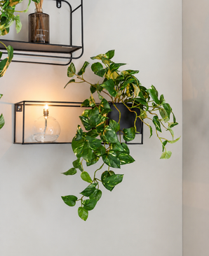 Etagères murales en métal noir avec une « Vigne dorée Art Suspendue en pot 50 cm UV », une lampe sphérique lumineuse et un bâton de parfum contre un mur blanc.