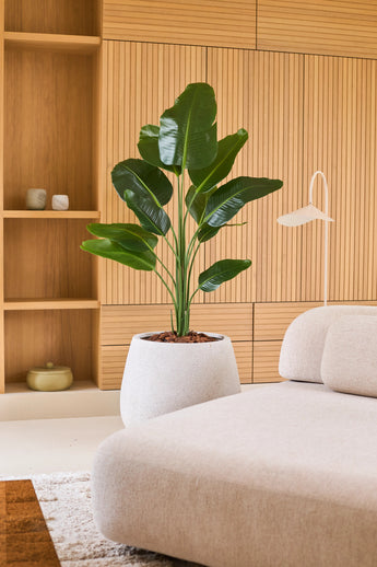 Une plante Strelitzia artificielle de 150 cm real touch2 avec des feuilles réalistes se trouve à côté d'un canapé beige moderne dans une pièce avec des boiseries en bois et des étagères intégrées décorées de décorations minimalistes.