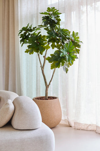 Un figuier artificiel Ficus Carica de 180 cm, aux feuilles vertes vibrantes, se tient près d'une fenêtre avec des rideaux transparents blancs, à côté d'un canapé beige clair, moderne et incurvé.