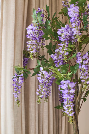 Une plante artificielle Wisteria de 150 cm aux feuilles vertes est suspendue devant les rideaux beiges.