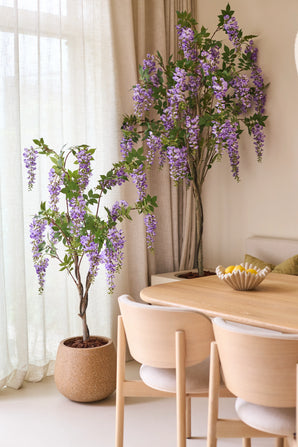 Deux plantes de glycine artificielle de 150 cm, avec leurs fleurs violettes en surplomb, se trouvent à côté d'une table à manger en bois avec des chaises lumineuses. Une douce lumière naturelle brille à travers les rideaux translucides derrière les plantes.