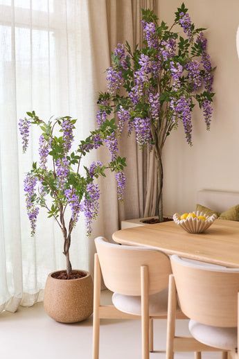 Deux plantes de glycine artificielle de 150 cm, avec leurs fleurs violettes en surplomb, se trouvent à côté d'une table à manger en bois avec des chaises lumineuses. Une douce lumière naturelle brille à travers les rideaux translucides derrière les plantes.