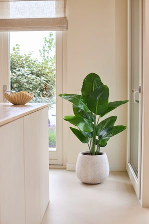 Een Kunstplant Strelitzia Real Touch Deluxe van 120 cm in weelderig groen staat op een lichte vloer naast een glazen deur in een lichte, moderne kamer met neutrale muren en een houten toonbank.
