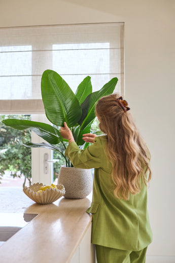 Une femme aux longs cheveux ondulés, vêtue d'un costume vert, s'occupe d'une plante artificielle Strelitzia Real Touch Deluxe de 90 cm posée sur un comptoir à côté d'un bol de citrons dans une pièce lumineuse avec une fenêtre.