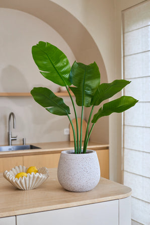 La plante artificielle Strelitzia Nicolai Deluxe 90 cm avec ses grandes feuilles vertes se dresse sur un comptoir de cuisine de couleur claire à côté d'un bol ondulé rempli de citrons jaunes, ce qui apporte une atmosphère tropicale à la pièce. En arrière-plan, un lavabo et une décoration minimaliste complètent le tableau.