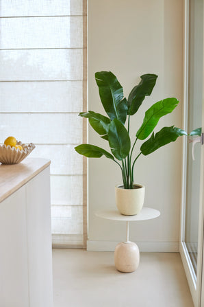 Une plante artificielle Strelitzia Nicolai Deluxe de 120 cm avec de grandes feuilles vertes se dresse sur une petite table ronde à côté d'une fenêtre dans une cuisine lumineuse et minimaliste. Il y a un bol de citrons sur le côté gauche du comptoir.