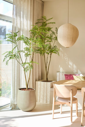 Un coin repas lumineux avec la Plante Artificielle Mahonia 210 cm, une grande plante en pot, une table et des chaises en bois, une lanterne en papier et des rideaux translucides laissant passer la lumière naturelle. Il y a des coussins roses sur un canapé intégré.