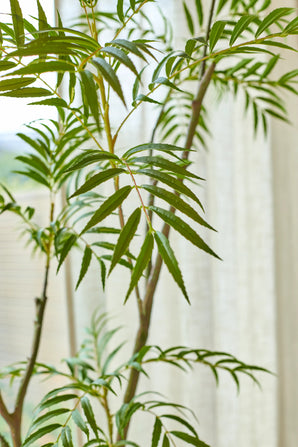 Gros plan de la plante artificielle Mahonia 150 cm, montrant les feuilles vertes fines et pointues sur un fond doucement éclairé avec des rideaux translucides.