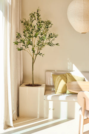 Un olivier artificiel de style méditerranéen de 180 cm se dresse près d'une fenêtre avec des rideaux transparents, accompagné d'un banc avec des coussins verts, d'une table ronde en bois et d'une lanterne en papier dans une pièce minimaliste et ensoleillée.