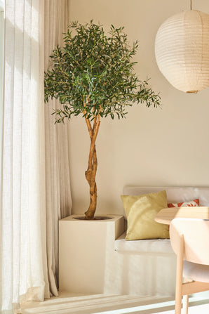 Un olivier artificiel de 190 cm aux branches fines se trouve à côté d'un canapé blanc décoré de coussins pastel, près de rideaux transparents et d'une lanterne ronde en papier dans une pièce lumineuse et moderne - une plante nécessitant peu d'entretien qui fournit une verdure durable sans nécessiter beaucoup d'entretien.