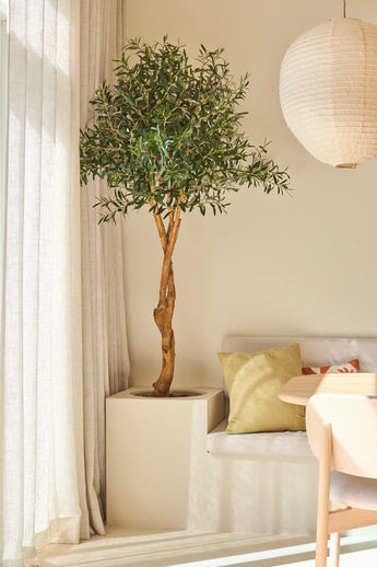 Un olivier artificiel de 190 cm aux branches fines se trouve à côté d'un canapé blanc décoré de coussins pastel, près de rideaux transparents et d'une lanterne ronde en papier dans une pièce lumineuse et moderne - une plante nécessitant peu d'entretien qui fournit une verdure durable sans nécessiter beaucoup d'entretien.