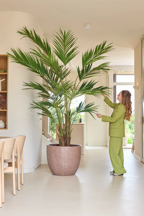 Une personne en costume vert se tient à l'intérieur et touche doucement les longues feuilles d'un palmier Kentia artificiel de 270 cm, qui se trouve à côté d'une salle à manger avec des chaises en bois clair.
