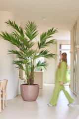Une plante artificielle, un palmier Kentia de 270 cm, se dresse dans une salle lumineuse tandis que quelqu'un en tenue verte passe ; le mouvement rend cette personne légèrement floue.