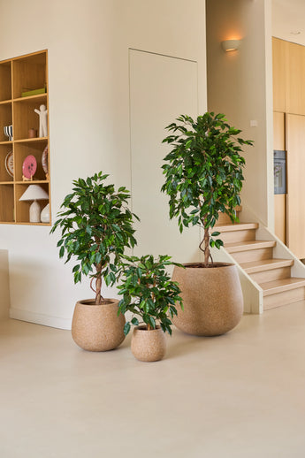 Trois plantes d'intérieur en pots de différentes tailles, dont la plante artificielle Ficus Green 90 cm, sont disposées sur un sol clair près d'un escalier, avec des étagères en bois et des accessoires pour la maison en arrière-plan – une disposition idéale de plantes de bureau pour tout espace de travail moderne.