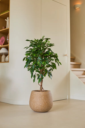 Une plante artificielle Ficus Green de 120 cm aux feuilles vertes brillantes se dresse sur un sol clair dans une pièce moderne et minimaliste, à proximité d'un escalier en bois et d'étagères décorées d'objets décoratifs.