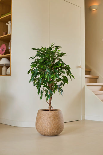 Une plante artificielle Ficus Green de 120 cm aux feuilles vertes brillantes se dresse sur un sol clair dans une pièce moderne et minimaliste, à proximité d'un escalier en bois et d'étagères décorées d'objets décoratifs.