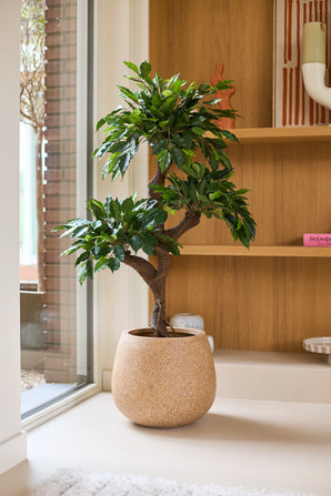 Une plante artificielle Ficus Crazy mesurant 120 cm avec des feuilles vertes luxuriantes est placée à l'intérieur près d'une fenêtre, à côté d'étagères en bois avec des objets décoratifs et des pots décoratifs colorés. Au milieu de cet agencement, cette plante aux couleurs uniques donne à l'ambiance cosy une touche de charme supplémentaire.