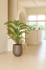 Une plante artificielle Phoenix de 160 cm se dresse sur un sol de couleur claire dans une pièce lumineuse et moderne avec de grandes fenêtres, des murs de couleur crème et une décoration minimaliste - ajoutant le charme des plantes tropicales à votre intérieur luxueux.