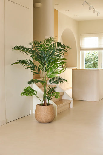 Une plante artificielle Phoenix de 160 cm repose sur un sol clair dans un espace moderne et minimaliste avec une lumière naturelle douce, des éléments architecturaux incurvés et des tons neutres – une mise à niveau intérieure sans effort qui apporte le charme des plantes tropicales à l'intérieur.