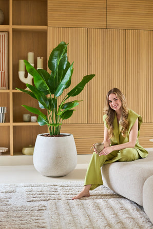 Une femme vêtue d'une tenue vert clair est assise pieds nus sur un canapé, souriante et tenant une tasse. A côté d'elle se trouve la plante artificielle Strelitzia Real Touch Deluxe 150 cm, tandis que des planches de bois et des objets décoratifs donnent au fond un aspect chaleureux.