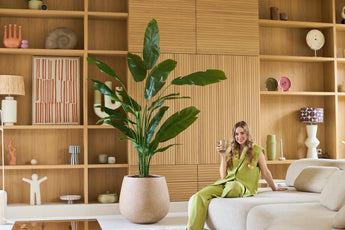 Une femme en tenue verte est assise sur un canapé beige avec un verre à la main, avec la plante artificielle Strelitzia Nicolai Deluxe 210 cm à côté d'elle et des étagères en bois avec des objets décoratifs en arrière-plan.