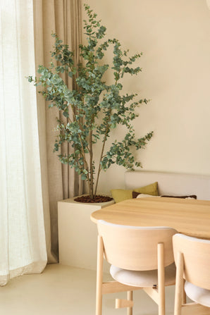 Un coin repas minimaliste avec une table et des chaises en bois clair, des coussins neutres sur un banc et l'eucalyptus artificiel de 180 cm – une grande plante verte en pot – posé à côté de rideaux beiges, le tout baigné d'une douce lumière naturelle.