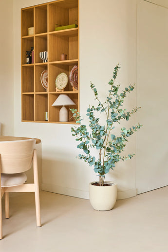 Une pièce minimaliste avec un mobilier en bois clair, une plante d'Eucalyptus Artificiel de 150 cm au sol et une étagère murale ouverte en bois sur laquelle sont exposées de la vaisselle et une lampe. Les couleurs neutres et les lignes épurées créent une atmosphère calme et aérée.