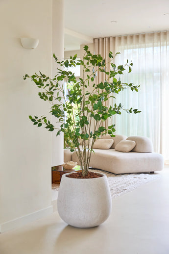 Le ficus artificiel de 180 cm, avec ses feuilles vertes luxuriantes, se dresse fièrement sur un sol clair dans un salon moderne et lumineux avec un canapé blanc, un tapis moelleux et des rideaux translucides laissant passer la lumière naturelle.