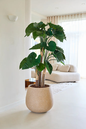 La plante artificielle Alocasia de 150 cm, aux larges feuilles vertes, se dresse dans un pot beige avec structure sur un sol clair. En arrière-plan, un canapé de couleur crème et des rideaux blancs translucides laissent entrer la lumière du soleil.