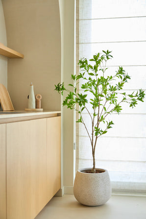 Une plante artificielle Pieris Japonica de 150 cm se dresse près d'une fenêtre aux rideaux translucides dans une cuisine moderne et minimaliste avec des armoires en bois clair et des tons neutres.