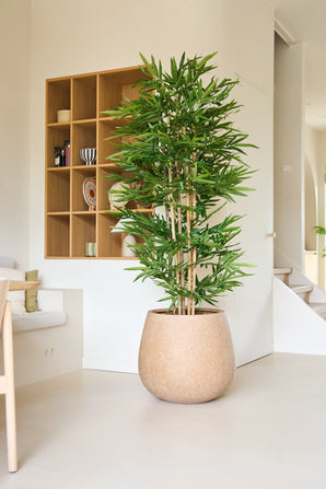 La Plante Artificielle Bambou 180 cm, avec sa grande stature et ses feuilles vertes élancées, s'invite dans une pièce moderne et minimaliste aux murs clairs, aux étagères ouvertes et à la décoration neutre.