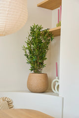 Une Plante Artificielle Bamboo Deluxe de 90 cm se dresse sur une étagère blanche à côté de deux bougies roses tournées et de planches de bois ; un abat-jour rond et un coussin rayé sont partiellement visibles.