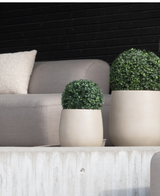 Un coin salon extérieur moderne avec un canapé gris clair, un coussin beige et deux plantes en pot rondes en buis artificiel de style romain UV D30cm sur un rebord en béton contre un mur à lattes horizontales noires.