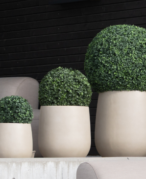 Trois buis artificiels de style romain UV D40cm topiaires dans des jardinières beiges sont alignés devant un mur en bois noir et des chaises gris clair.
